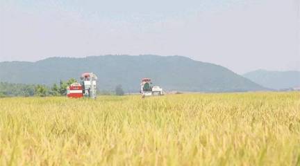 政策東風至，農機企業迎轉機 聚焦農業生產托管服務的六大戰略機遇